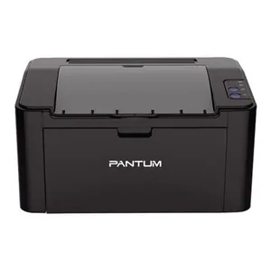Замена системной платы на принтере Pantum P2207 в Нижнем Новгороде